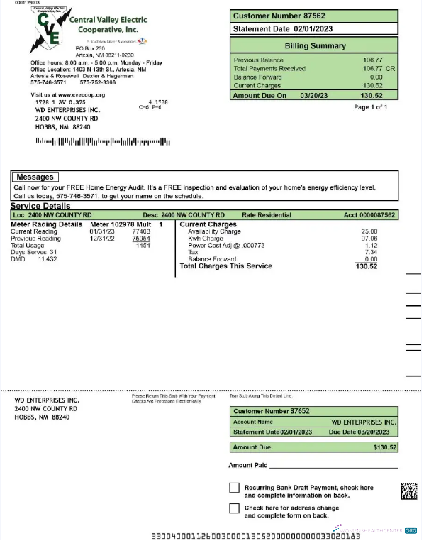 download download USA CENTRAL VALLEY ELECTRIC utility bill Word and PDF template PDF template PDF template